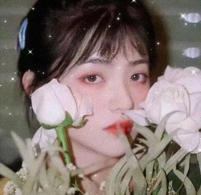 情欲纽约